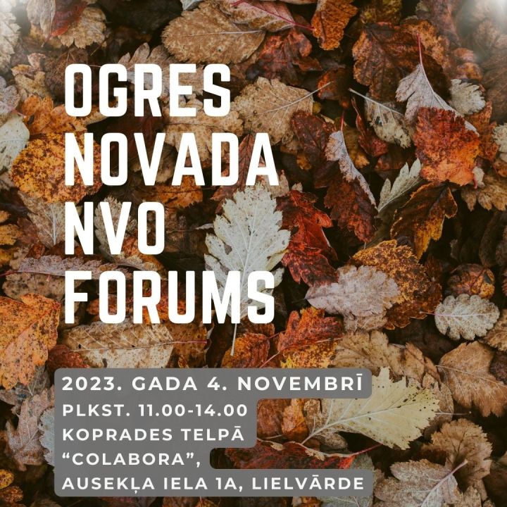 Jau šīs nedēļas nogalē notiks pirmais Ogres novada NVO forums