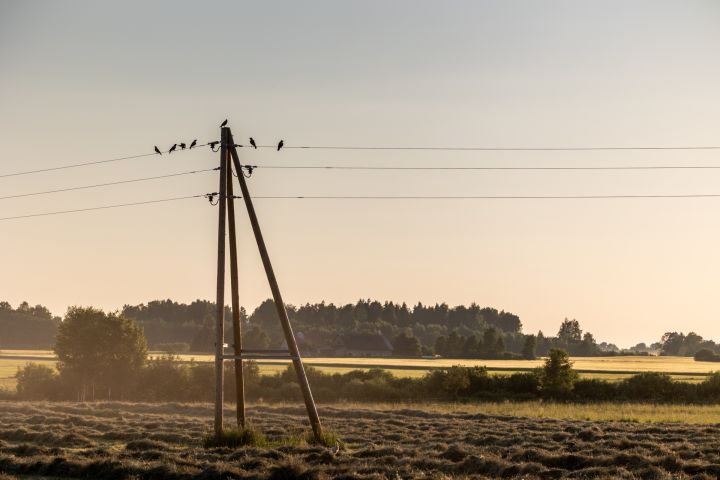 Kas jāzina par elektrības sadales tarifu samazinājumu mājsaimniecībām