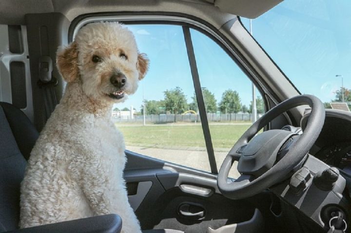 Ko der zināt par Bonus-Malus klasi, ja pie Tava auto stūres ir cits