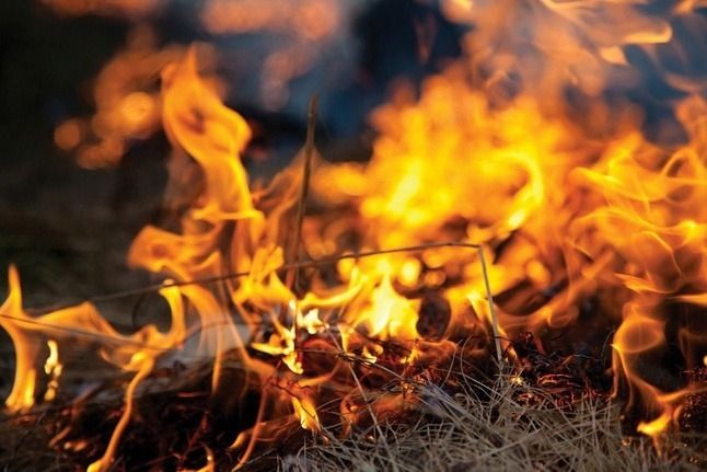 Kūlas dedzināšana ir bīstama un aizliegta!