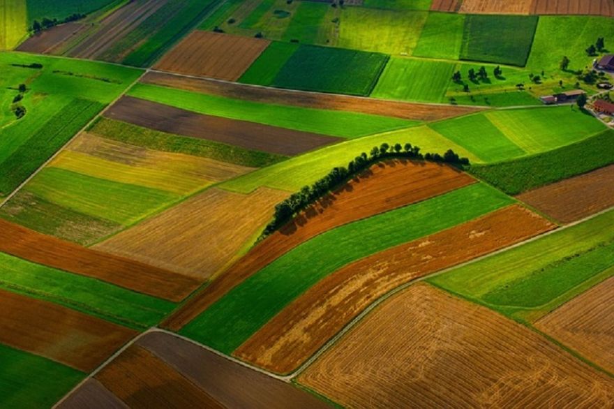 LAD izmaksā vienotā platību maksājuma avansu