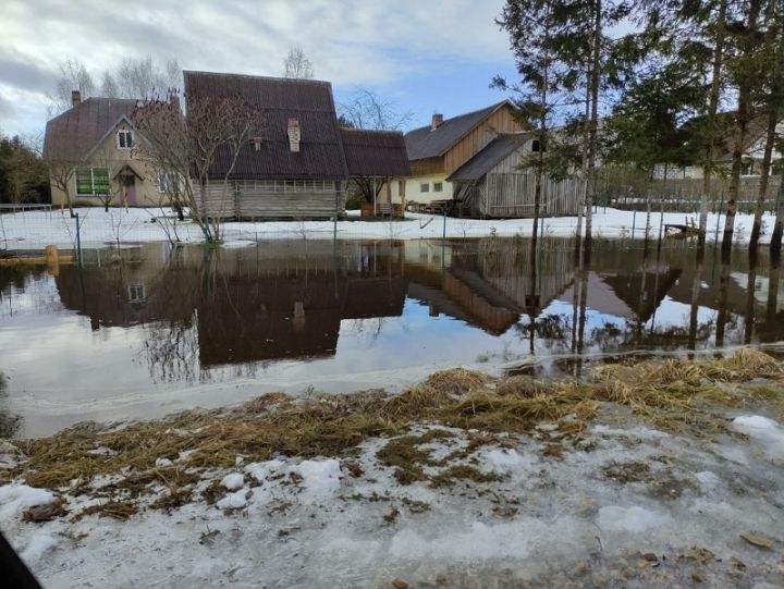 Laikraksta "Ogres Vēstis Visiem" 22.februāra numurā: