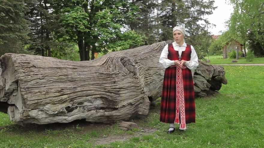 Laikraksta "Ogres Vēstis Visiem" 29.jūnija numurā: