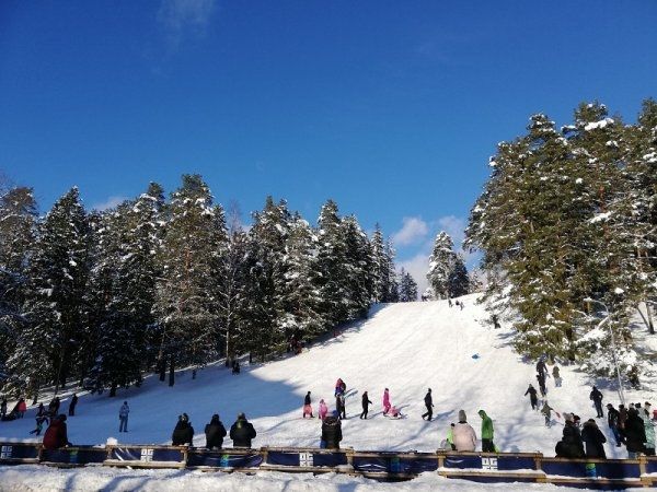 Laikraksta "Ogres Vēstis Visiem" 5.februāra numurā: