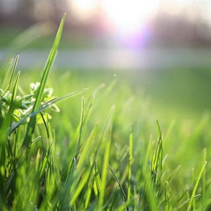 Lielvārdes novada pašvaldība aicina sakopt savus īpašumus