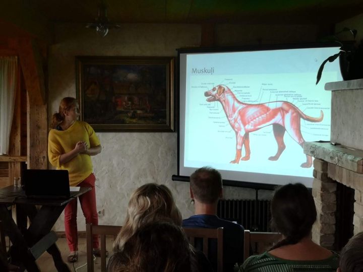 Lolojumdzīvnieku fizioterapeite Sintija Pakalne: "Dzīvība ir kustībā!"
