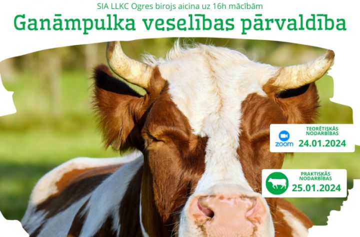 Mācības "Ganāmpulka veselības pārvaldība" tiešsaistē un Ogres novadā