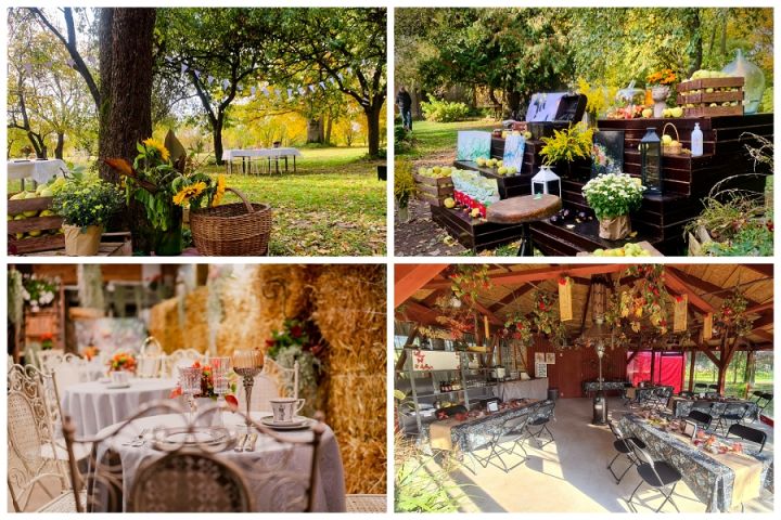 "Mājas kafejnīcas" Ogres novadā pulcējušas 2025 viesus!