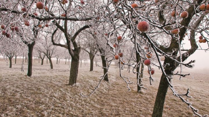 Meteoroloģiskā rudens pēdējā dienā daudzviet uzspīdēs saule