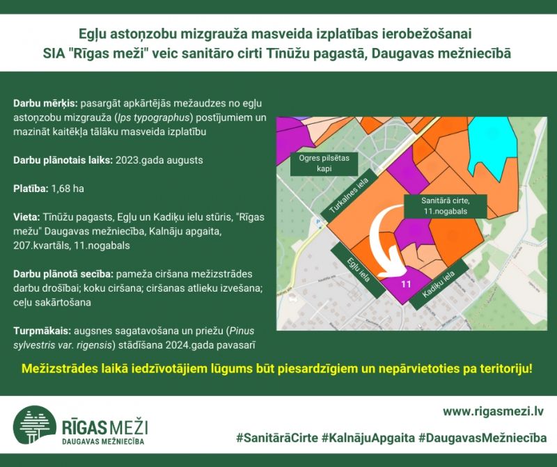 Meža pasargāšanai no egļu mizgrauža masveida izplatības, RĪGAS MEŽI veiks sanitāro cirti Tīnūžu pagastā