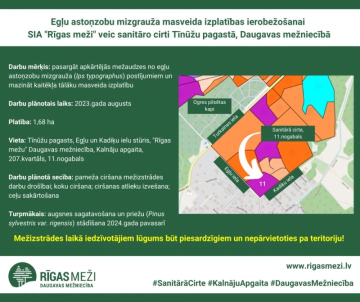 Meža pasargāšanai no egļu mizgrauža masveida izplatības, RĪGAS MEŽI veiks sanitāro cirti Tīnūžu pagastā