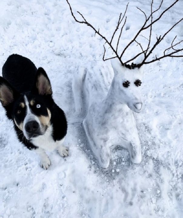 Noslēdzies sniega skulptūru konkurss Ķeguma novadā un noskaidroti uzvarētāji (Foto)