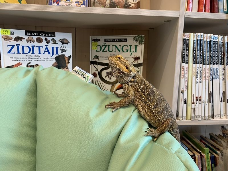 Noslēgušās kanisterapijas nodarbības Ogres Centrālajā bibliotēkā