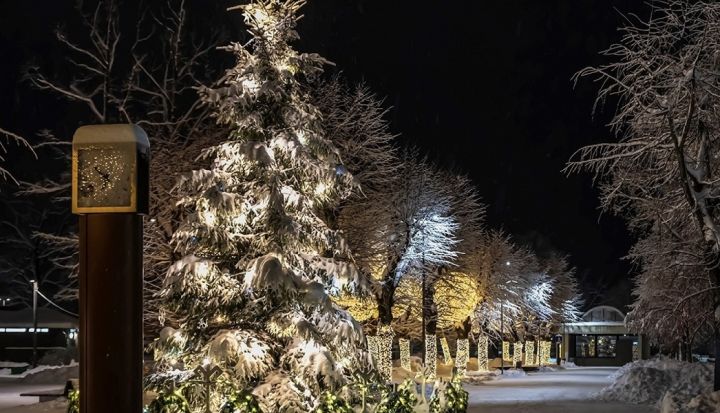 Noslēgusies akcija "Egļu stāsts"