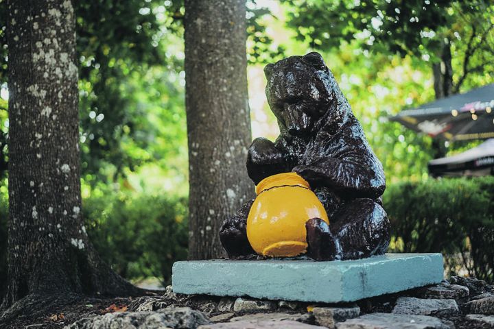 Ogres lācēns Ēriks un viņa "radinieki"