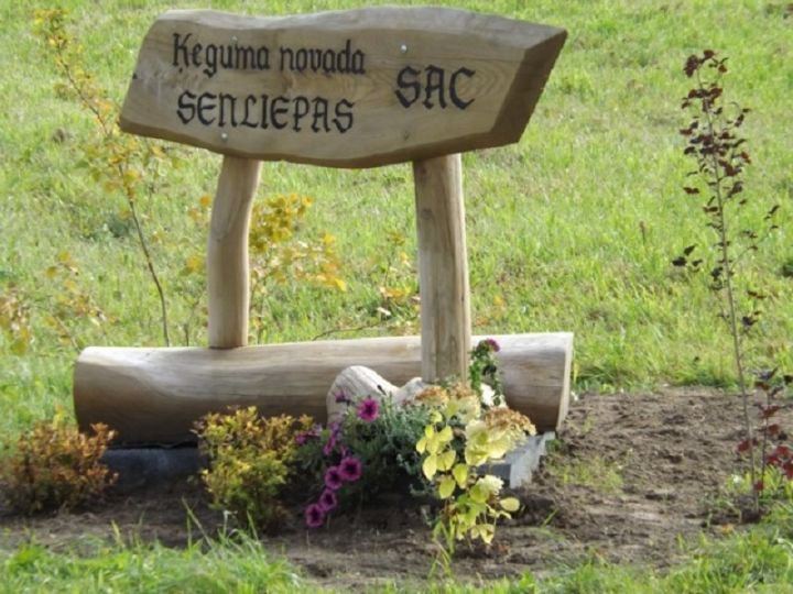 Ogres novadā reorganizēs sociālo aprūpes centru "Senliepas"
