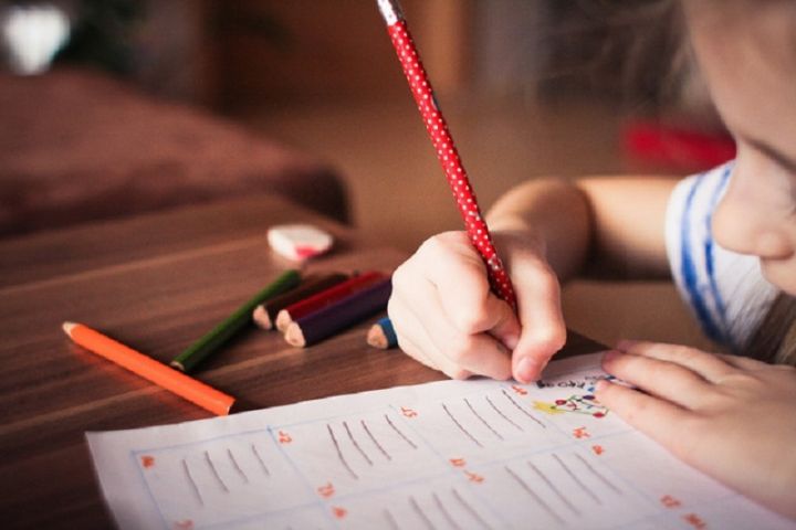 Ogres novadā skolās plāno uzņemt 400 pirmklasniekus