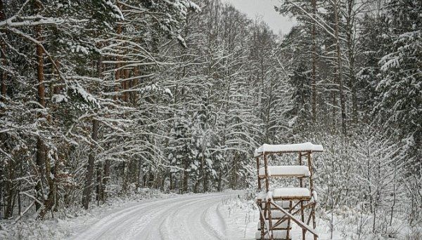 Ogres novadā sniega dziļums pieaudzis līdz pusmetram