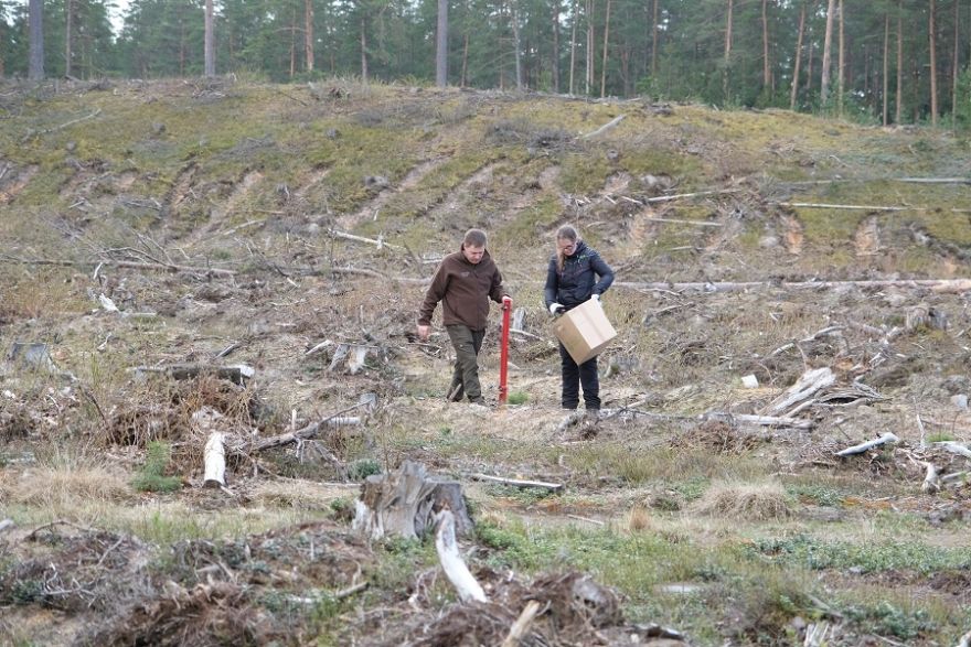 Ogres tehnikuma audzēkņi un sadarbības partneri stāda mežu
