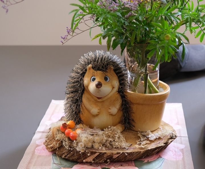 Ogres tehnikuma bibliotēkā ežu izstāde un bibliotekārās stundas