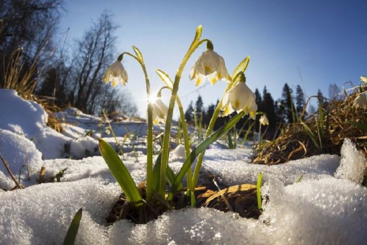 Otrdien gaisa temperatūra pakāpsies līdz +10 grādiem