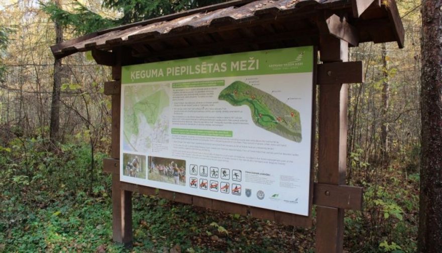 Pabeigti kopšanas darbi Ķeguma piepilsētas mežos