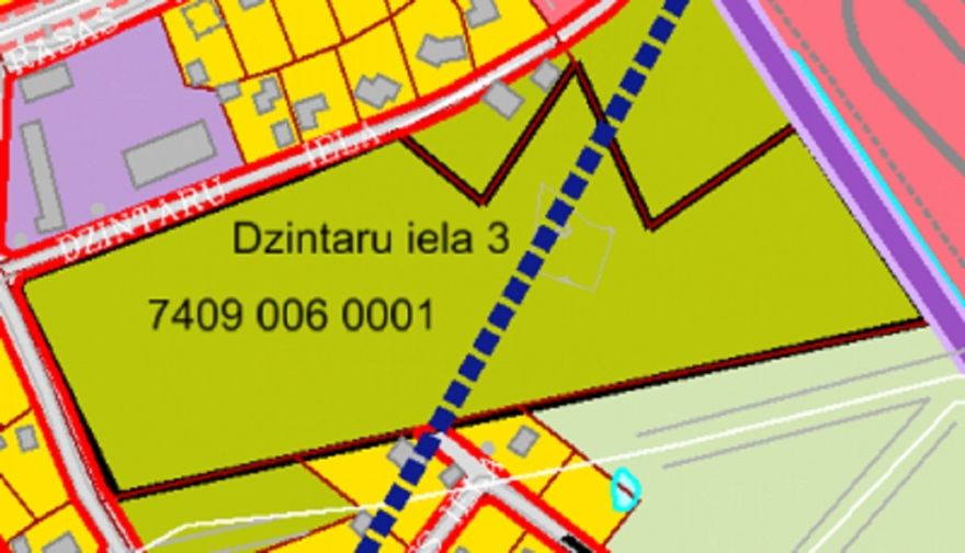 Par detālplānojuma nekustamajam īpašumam Dzintaru ielā 3, Ķegumā, publisko apspriešanu
