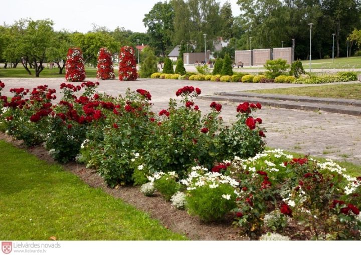 Pašvaldība pieteiksies valsts aizdevumam projekta "Lielvārdes pilsētas Lāčplēša laukuma pārbūve" 2.kārtas realizēšanai