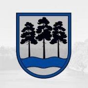 Paziņojums par publisko apspriešanu koku ciršanai Meža prospektā