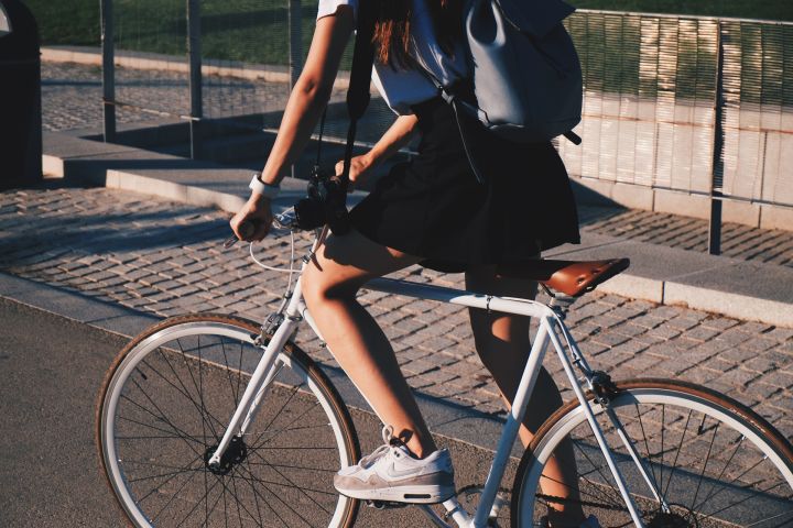 Paziņojums par publisko apspriešanu koku ciršanai veloceliņa izbūvei no Ciemupes līdz Lielvārdei