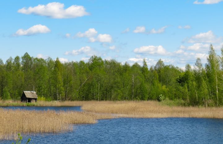 Pirms dīķa ierīkošanas jāizvērtē tā nepieciešamība un jāsaņem vairāki saskaņojumi, atgādina VVD