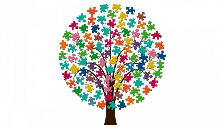 Projektu konkursi iedzīvotāju iniciatīvu atbalstam tiks organizēti visā Ogres novadā