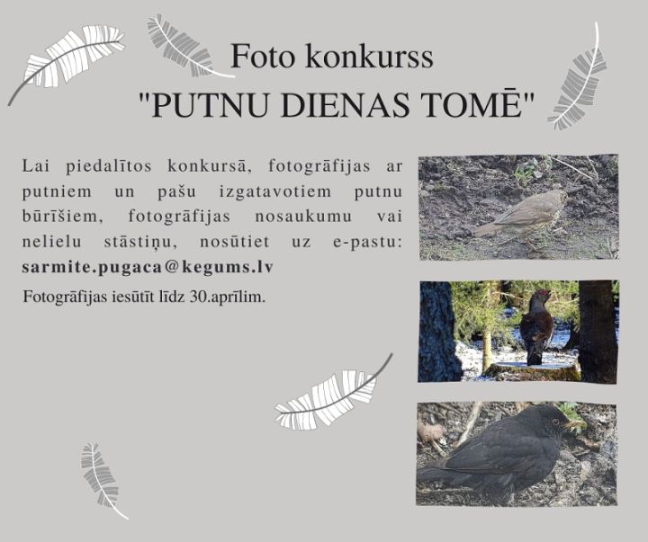 Putnu diena Tomē