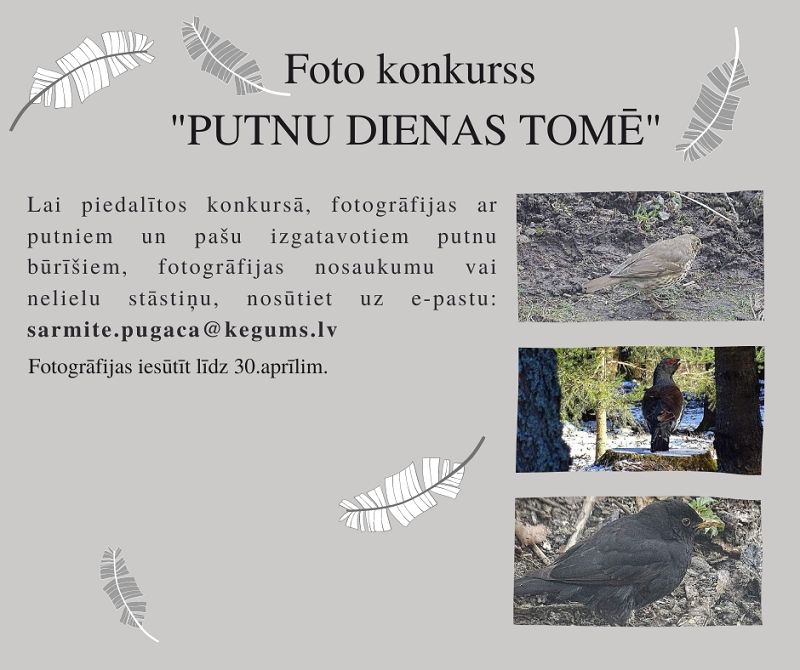 Putnu diena Tomē