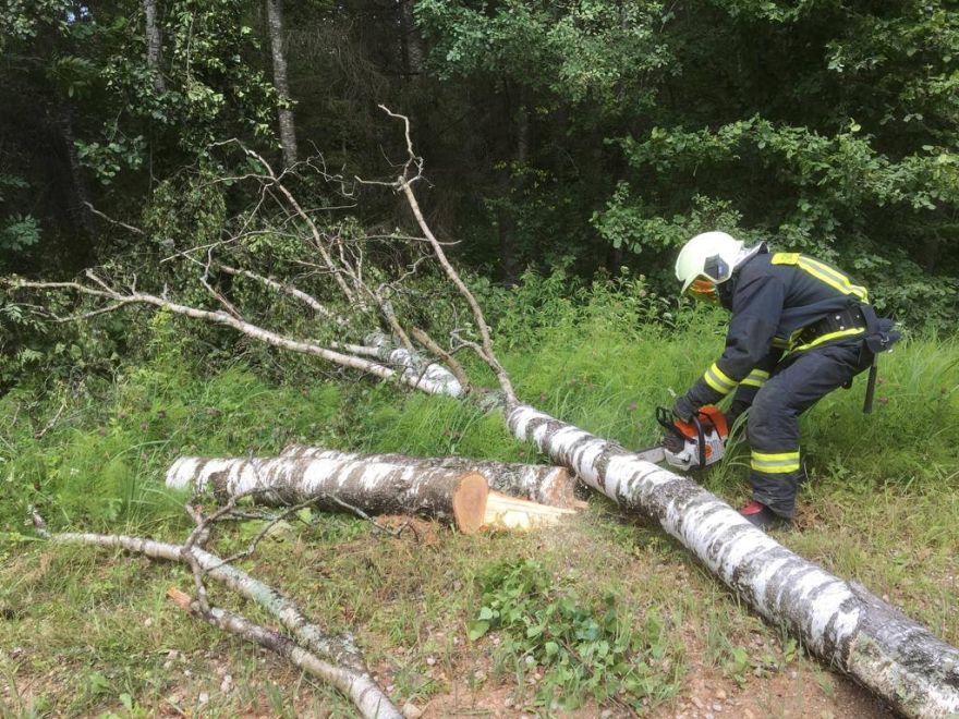 Rīgas apkārtnē saņemti 19 izsaukumi par spēcīgā vēja radītajiem postījumiem