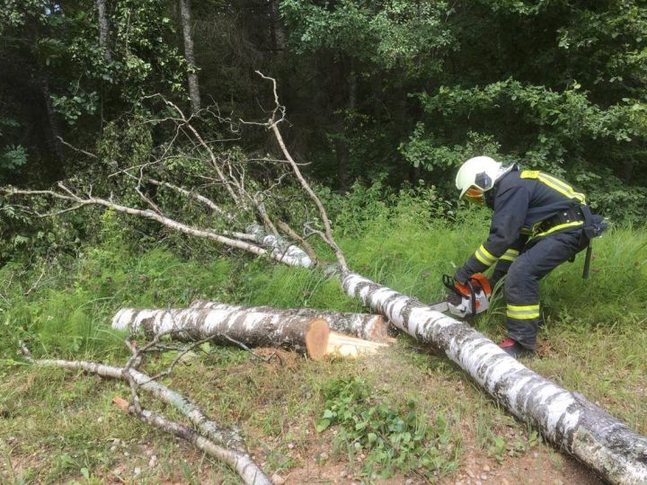 Rīgas apkārtnē saņemti 19 izsaukumi par spēcīgā vēja radītajiem postījumiem