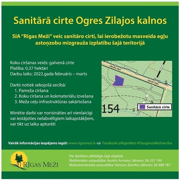 "Rīgas Meži" veiks sanitāro cirti Ogres Zilajos kalnos