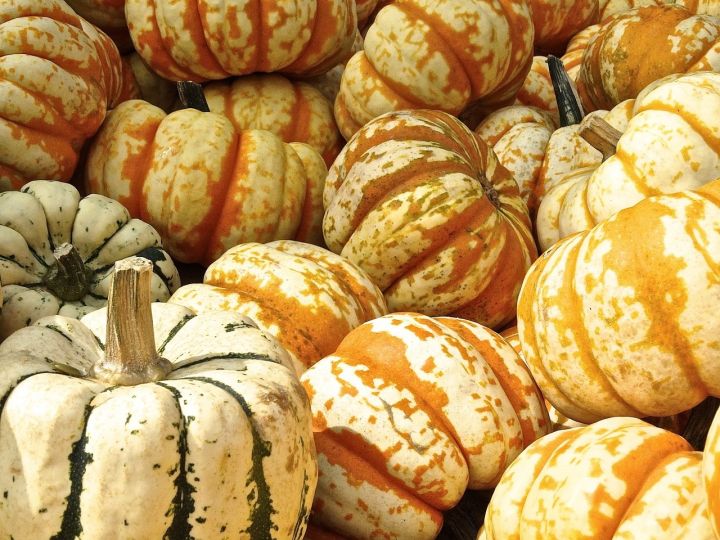 Rudens gadatirgus Suntažos
