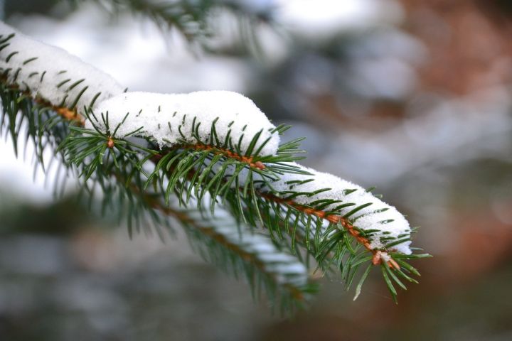 Sākoties decembrim, Latviju klāj līdz 30 centimetriem dziļš sniegs