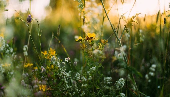 SPKC ieteikumi līgotājiem