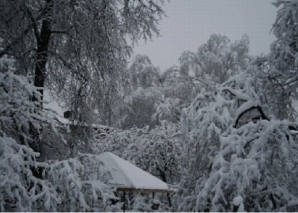Stiprākā snigšana gaidāma otrdien arī Ogrē, Ķegumā un Lielvārdē