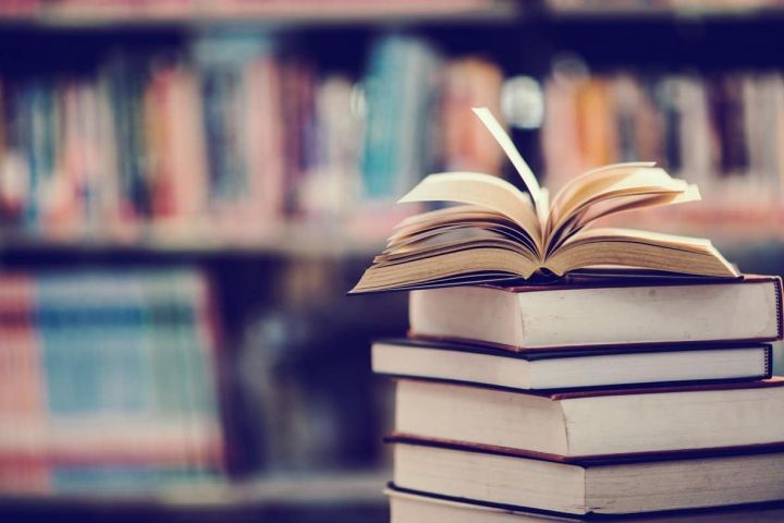 Tikšanās ar Ikšķiles pilsētas bibliotēkas vadītāju Ikšķilē