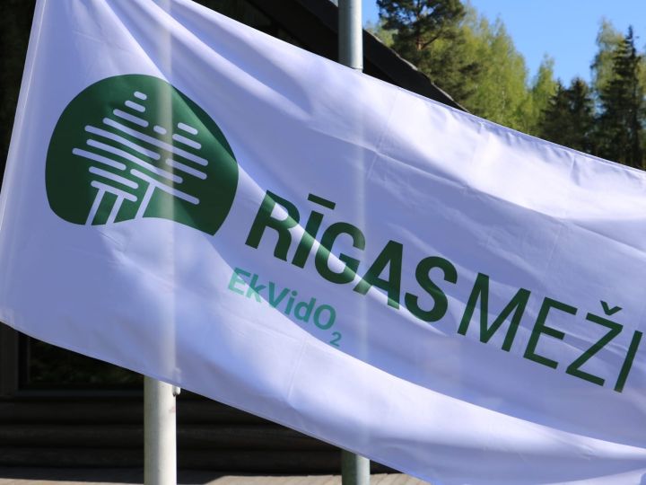 Tīnūžos notiks skolēnu radošais rudens plenērs "Dzīve mežā"
