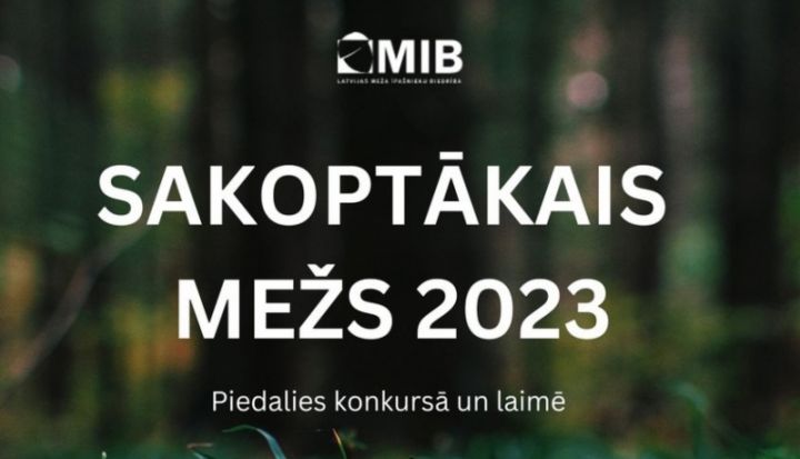 Turpinās pieteikšanās konkursam "Sakoptākais mežs 2023"