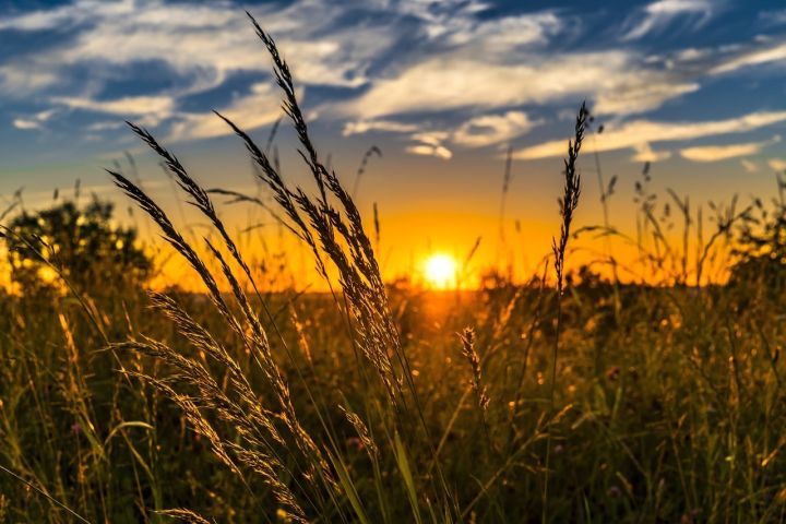 Tuvākajās dienās gaisa temperatūra lēnām paaugstināsies