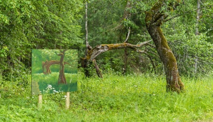 Vilhelma Purvīša muzejs atklāj jauno mākslinieku balvu "Pavasaris"