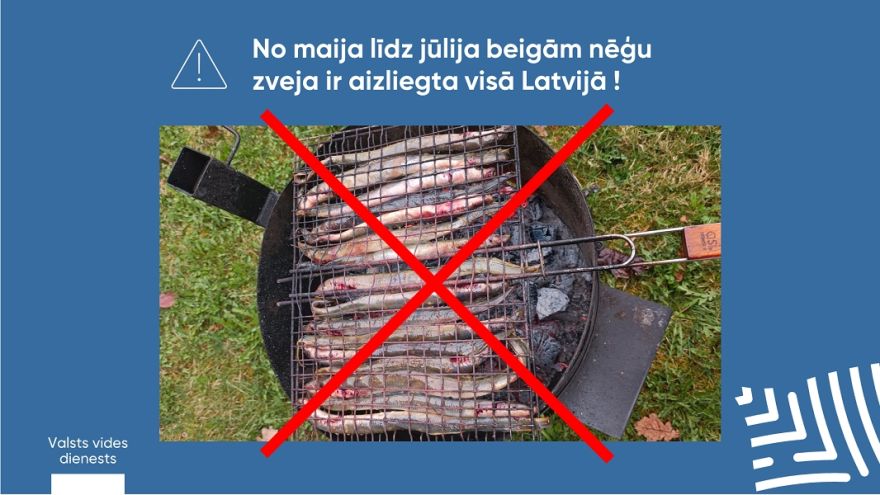 VVD: līdz  jūlija beigām nēģu zveja ir aizliegta