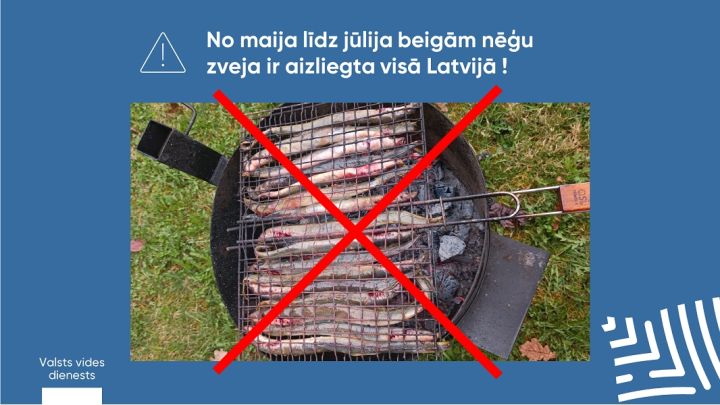 VVD: līdz  jūlija beigām nēģu zveja ir aizliegta