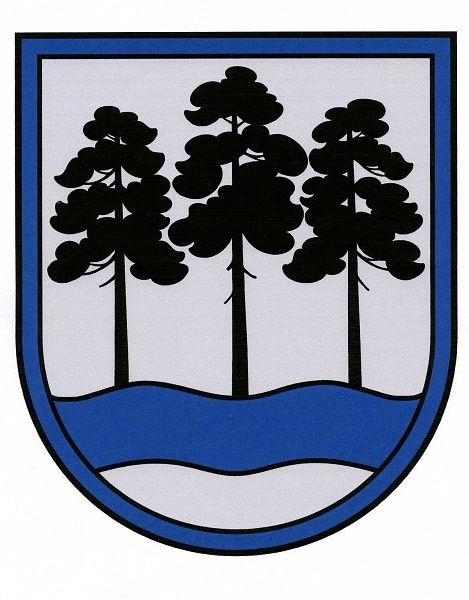 Zināmi vēlēšanu rezultāti Ogres novada vēlēšanu apgabalā