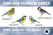 Ziņo par putniem dārzā!